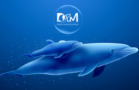 北京高端網(wǎng)站建設公司-德芬傳媒