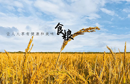 北京高端網(wǎng)站建設(shè)公司-國(guó)瑞米業(yè)